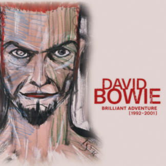 Bowie, David - Brilliant Adventure (1992 – 2001) 18LP Boxset