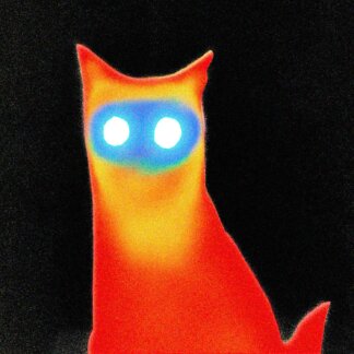 Basement - WIRED CD