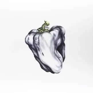 Ween - White Pepper (green vinyl) LP